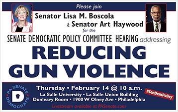 Policy Hearing Addressing Reducing Gun Violence